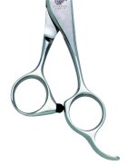 �R�o���g�A�C���O�`�n���h��